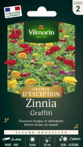 Zinnia Graffiti - Graines d'Exception